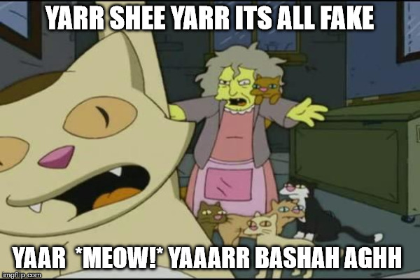 YARR SHEE YARR ITS ALL FAKE YAAR  *MEOW!* YAAARR BASHAH AGHH | made w/ Imgflip meme maker