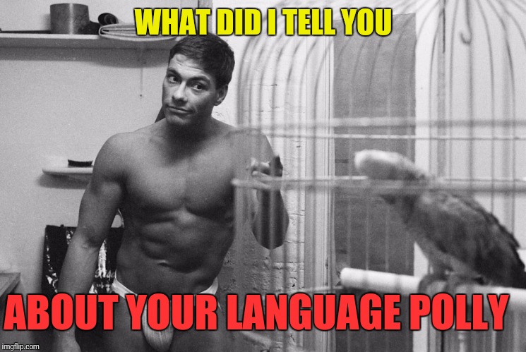 WHAT DID I TELL YOU ABOUT YOUR LANGUAGE POLLY | made w/ Imgflip meme maker