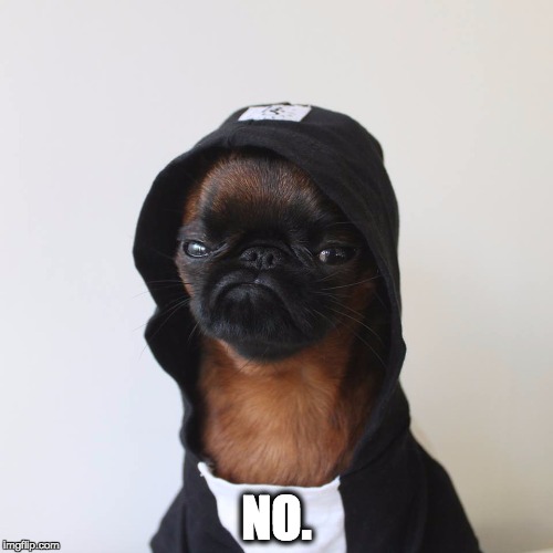 grumpy doggo | NO. | image tagged in grumpy doggo | made w/ Imgflip meme maker