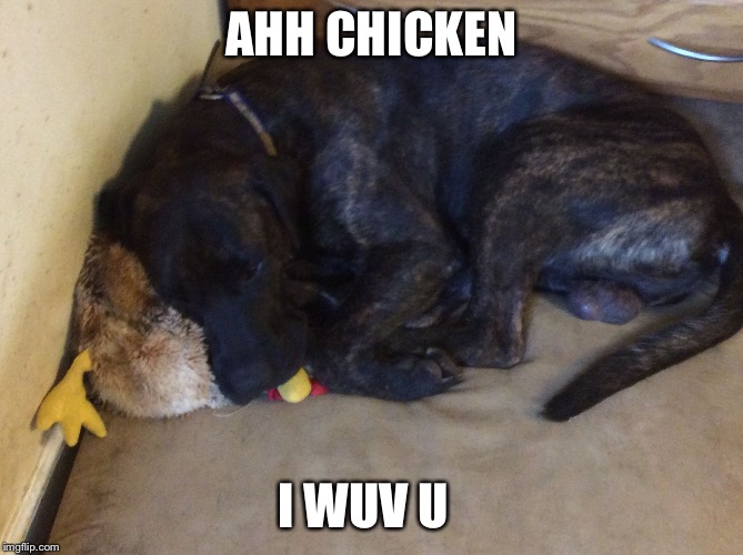 AHH CHICKEN; I WUV U | image tagged in i wuv meh chicken | made w/ Imgflip meme maker