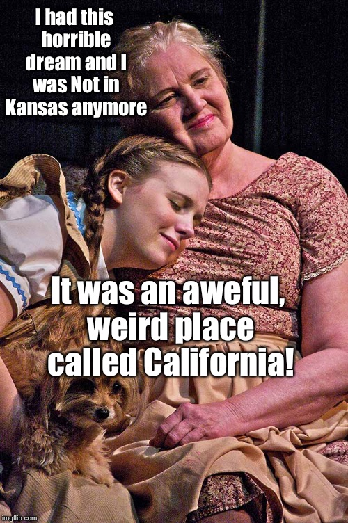 I had this horrible dream and I was
Not in Kansas anymore It was an aweful, weird place called California! | made w/ Imgflip meme maker