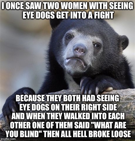 Confession Bear | I ONCE SAW TWO WOMEN WITH SEEING EYE DOGS GET INTO A FIGHT; BECAUSE THEY BOTH HAD SEEING EYE DOGS ON THEIR RIGHT SIDE AND WHEN THEY WALKED INTO EACH OTHER ONE OF THEM SAID "WHAT ARE YOU BLIND" THEN ALL HELL BROKE LOOSE | image tagged in memes,confession bear | made w/ Imgflip meme maker