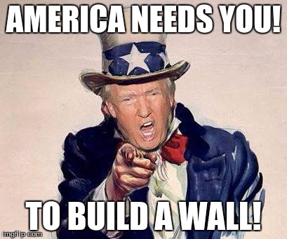 America Needs A Wall | AMERICA NEEDS YOU! TO BUILD A WALL! | image tagged in trump uncle sam | made w/ Imgflip meme maker
