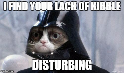 Grumpy Cat Star Wars Meme | I FIND YOUR LACK OF KIBBLE; DISTURBING | image tagged in memes,grumpy cat star wars,grumpy cat | made w/ Imgflip meme maker