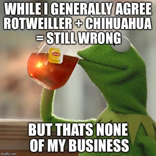 But That's None Of My Business Meme | WHILE I GENERALLY AGREE BUT THATS NONE OF MY BUSINESS ROTWEILLER + CHIHUAHUA = STILL WRONG | image tagged in memes,but thats none of my business,kermit the frog | made w/ Imgflip meme maker