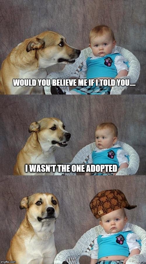 Dad Joke Dog Meme | WOULD YOU BELIEVE ME IF I TOLD YOU.... I WASN'T THE ONE ADOPTED | image tagged in memes,dad joke dog,scumbag | made w/ Imgflip meme maker