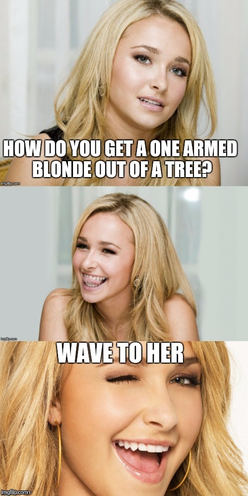 1 arm blonde joke | HOW DO YOU GET A ONE ARMED BLONDE OUT OF A TREE? WAVE TO HER | image tagged in bad pun hayden panettiere | made w/ Imgflip meme maker