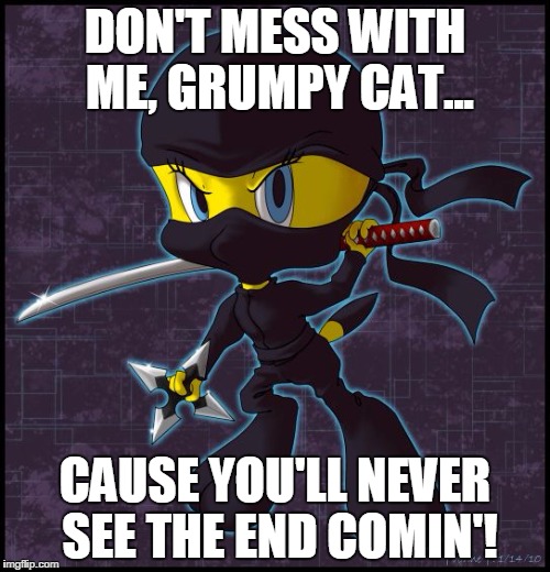 Ninja Tweety | DON'T MESS WITH ME, GRUMPY CAT... CAUSE YOU'LL NEVER SEE THE END COMIN'! | image tagged in ninja tweety | made w/ Imgflip meme maker