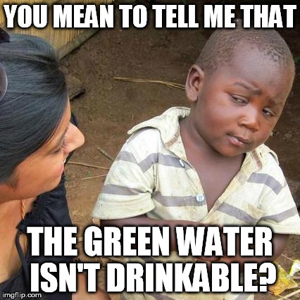 Third World Skeptical Kid | YOU MEAN TO TELL ME THAT; THE GREEN WATER ISN'T DRINKABLE? | image tagged in memes,third world skeptical kid,gross,water,africa,africa in a nutshell | made w/ Imgflip meme maker
