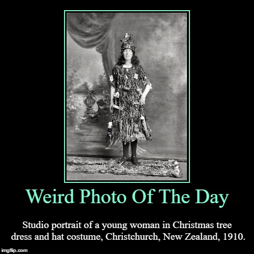 Did She Get Free Presents As Well? | image tagged in funny,demotivationals,weird,photo of the day,christmas tree,woman | made w/ Imgflip demotivational maker