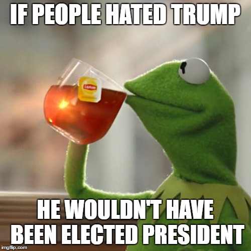 But That's None Of My Business Meme | IF PEOPLE HATED TRUMP HE WOULDN'T HAVE BEEN ELECTED PRESIDENT | image tagged in memes,but thats none of my business,kermit the frog | made w/ Imgflip meme maker