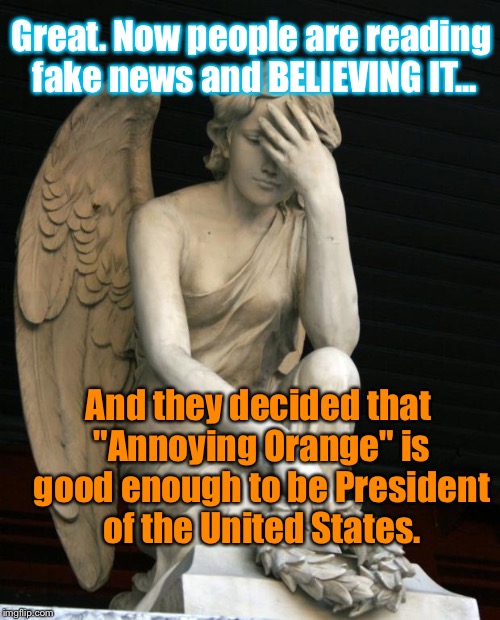 angel facepalm | Great. Now people are reading fake news and BELIEVING IT... And they decided that "Annoying Orange" is good enough to be President of the United States. | image tagged in angel facepalm,memes,donald trump,facebook,fake news | made w/ Imgflip meme maker