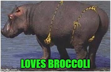 LOVES BROCCOLI | made w/ Imgflip meme maker