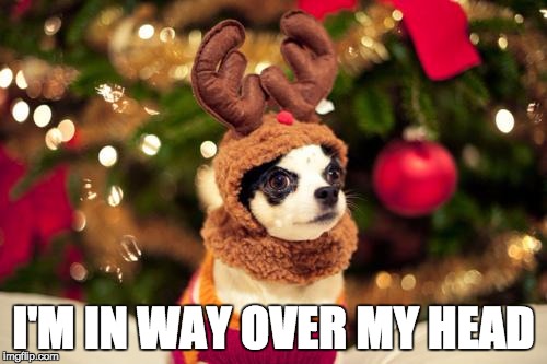 dog reindeer | I'M IN WAY OVER MY HEAD | image tagged in dog reindeer | made w/ Imgflip meme maker