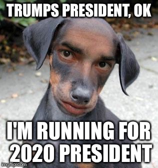 Dog Human | TRUMPS PRESIDENT, OK; I'M RUNNING FOR 2020 PRESIDENT | image tagged in dog human | made w/ Imgflip meme maker