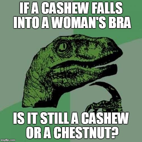 Philosoraptor | IF A CASHEW FALLS INTO A WOMAN'S BRA; IS IT STILL A CASHEW OR A CHESTNUT? | image tagged in memes,philosoraptor | made w/ Imgflip meme maker
