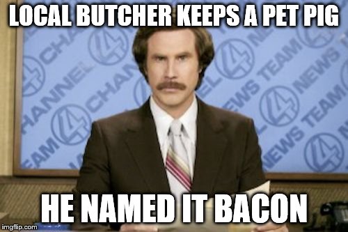 Ron Burgundy | LOCAL BUTCHER KEEPS A PET PIG; HE NAMED IT BACON | image tagged in memes,ron burgundy | made w/ Imgflip meme maker
