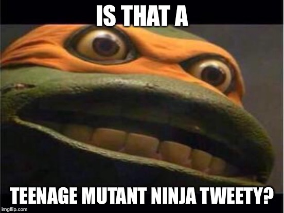 IS THAT A TEENAGE MUTANT NINJA TWEETY? | made w/ Imgflip meme maker