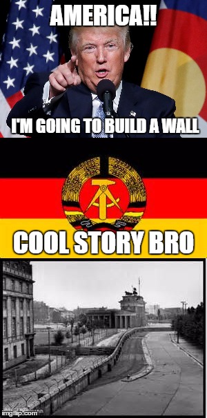 AMERICA!! I'M GOING TO BUILD A WALL; COOL STORY BRO | image tagged in trump,wall,trump wall | made w/ Imgflip meme maker