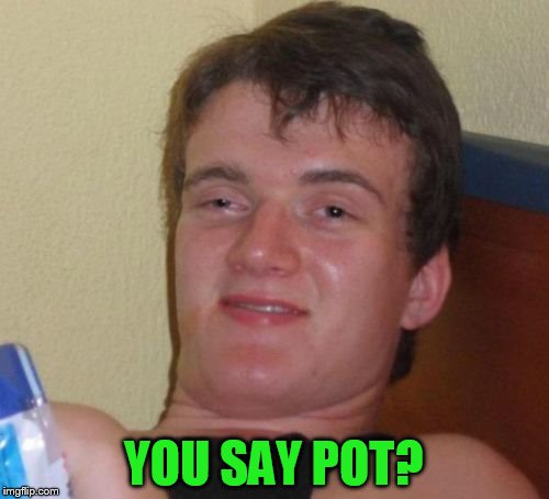 10 Guy Meme | YOU SAY POT? | image tagged in memes,10 guy | made w/ Imgflip meme maker