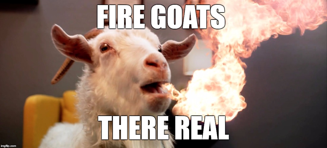 FIRE GOATS; THERE REAL | image tagged in fire goat | made w/ Imgflip meme maker