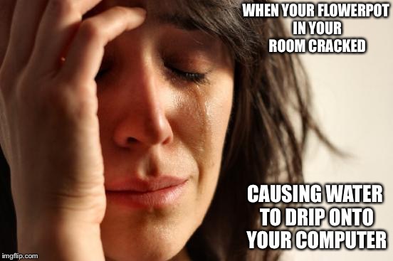 Flowepotgate | WHEN YOUR FLOWERPOT IN YOUR ROOM CRACKED; CAUSING WATER TO DRIP ONTO YOUR COMPUTER | image tagged in memes,first world problems | made w/ Imgflip meme maker