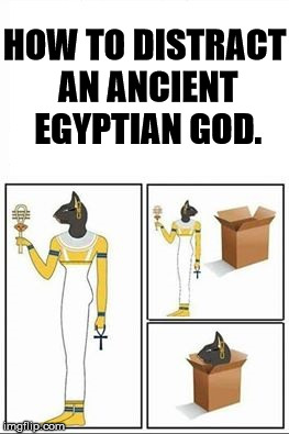 Bastet approuved  | HOW TO DISTRACT AN ANCIENT EGYPTIAN GOD. | image tagged in memes,funny memes,ancient egyptian god | made w/ Imgflip meme maker