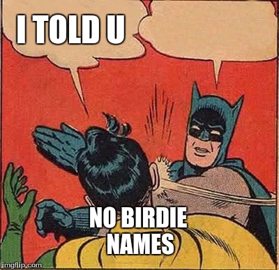 Batman Slapping Robin | I TOLD U; NO BIRDIE NAMES | image tagged in memes,batman slapping robin | made w/ Imgflip meme maker