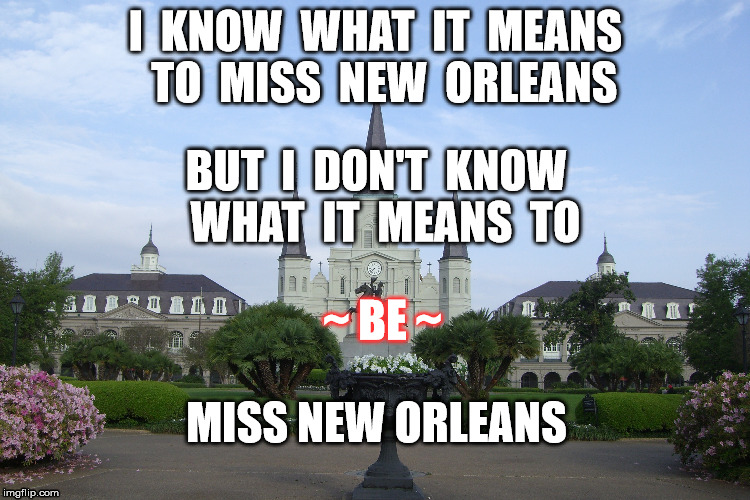 Miss New Orleans | I  KNOW  WHAT  IT  MEANS  TO  MISS  NEW  ORLEANS; BUT  I  DON'T  KNOW  WHAT  IT  MEANS  TO; ~ BE ~; MISS NEW ORLEANS | image tagged in new orleans,gay | made w/ Imgflip meme maker