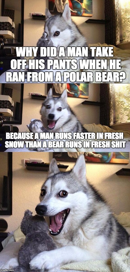Bad Pun Dog | WHY DID A MAN TAKE OFF HIS PANTS WHEN HE RAN FROM A POLAR BEAR? BECAUSE A MAN RUNS FASTER IN FRESH SNOW THAN A BEAR RUNS IN FRESH SHIT | image tagged in memes,bad pun dog | made w/ Imgflip meme maker