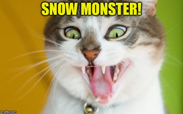 SNOW MONSTER! | made w/ Imgflip meme maker