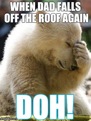 Facepalm Bear | WHEN DAD FALLS OFF THE ROOF AGAIN; DOH! | image tagged in memes,facepalm bear | made w/ Imgflip meme maker