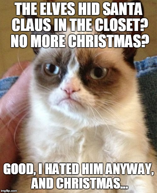 Grumpy Cat Meme | THE ELVES HID SANTA CLAUS IN THE CLOSET? NO MORE CHRISTMAS? GOOD, I HATED HIM ANYWAY, AND CHRISTMAS... | image tagged in memes,grumpy cat | made w/ Imgflip meme maker