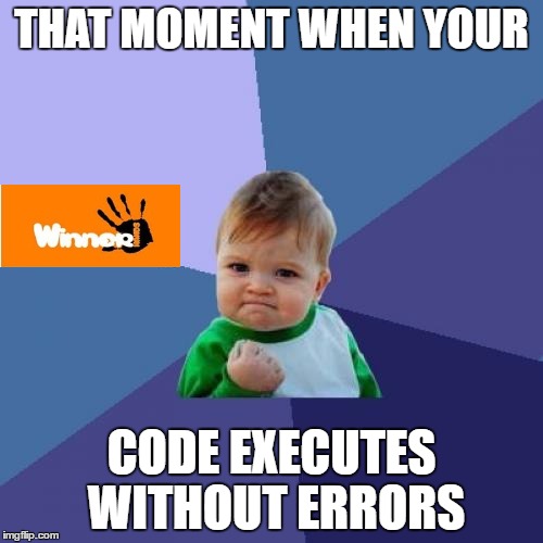 Success Kid Meme | THAT MOMENT WHEN YOUR; CODE EXECUTES WITHOUT ERRORS | image tagged in memes,success kid | made w/ Imgflip meme maker