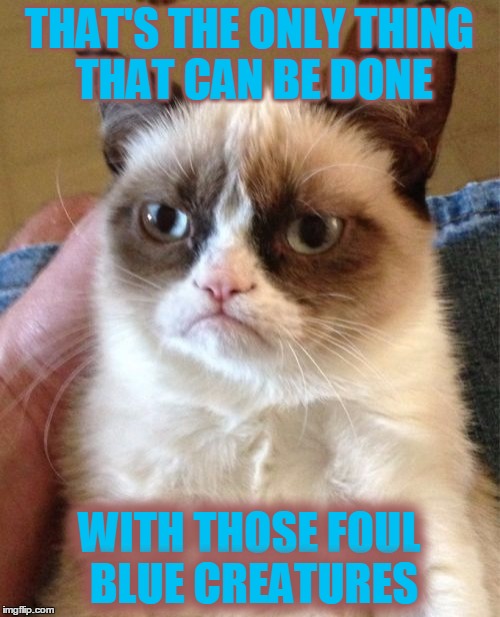 Grumpy Cat Meme | THAT'S THE ONLY THING THAT CAN BE DONE WITH THOSE FOUL BLUE CREATURES | image tagged in memes,grumpy cat | made w/ Imgflip meme maker