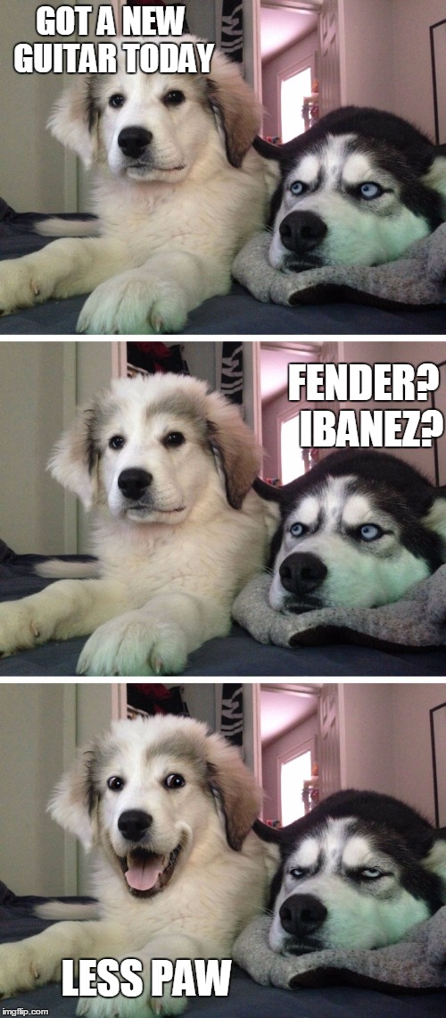 I got me some of them low down, bad pun blues | GOT A NEW GUITAR TODAY; FENDER?  IBANEZ? LESS PAW | image tagged in bad pun dogs | made w/ Imgflip meme maker