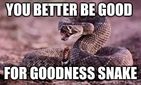 snakesz | YOU BETTER BE GOOD; FOR GOODNESS SNAKE | image tagged in snakesz | made w/ Imgflip meme maker