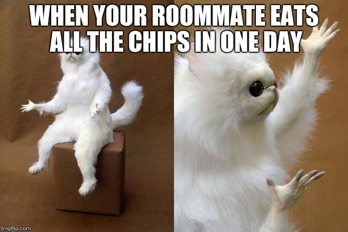 Persian Cat Room Guardian | WHEN YOUR ROOMMATE EATS ALL THE CHIPS IN ONE DAY | image tagged in memes,persian cat room guardian | made w/ Imgflip meme maker