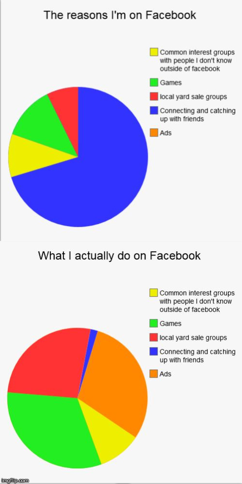 Ode to Fakebook | _ | image tagged in memes,facebook,fakebook,annoying facebook girl,pie charts | made w/ Imgflip meme maker