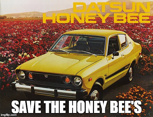 Save this car  | SAVE THE HONEY BEE'S | image tagged in cars,datsun,beer,environment,food | made w/ Imgflip meme maker