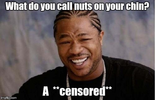 Yo Dawg Heard You Meme | What do you call nuts on your chin? A  **censored** | image tagged in memes,yo dawg heard you | made w/ Imgflip meme maker