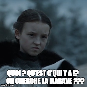 Lady Mormont | QUOI ? QU'EST C'QUI Y A !?
   ON CHERCHE LA MARAVE ??? | image tagged in lady mormont | made w/ Imgflip meme maker