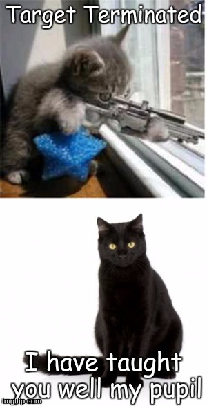 Giving your cats guns to protect you equals this | Target Terminated; I have taught you well my pupil | image tagged in cats with guns | made w/ Imgflip meme maker
