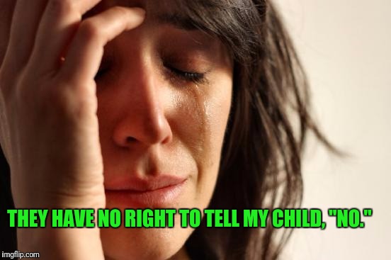 First World Problems Meme | THEY HAVE NO RIGHT TO TELL MY CHILD, "NO." | image tagged in memes,first world problems | made w/ Imgflip meme maker