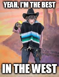 YEAH, I'M THE BEST; IN THE WEST | image tagged in wild west monkey | made w/ Imgflip meme maker