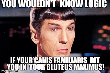 Condescending Spock | YOU WOULDN'T  KNOW LOGIC; IF YOUR CANIS FAMILIARIS  BIT YOU IN  YOUR GLUTEUS MAXIMUS! | image tagged in condescending spock | made w/ Imgflip meme maker