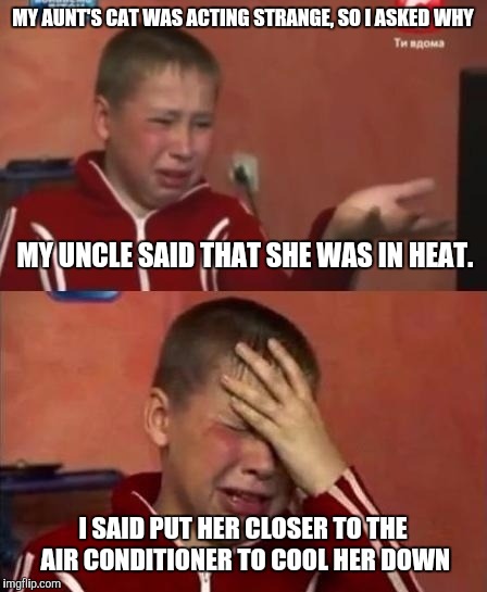 An incident with my nephew when be was 10 | MY AUNT'S CAT WAS ACTING STRANGE, SO I ASKED WHY; MY UNCLE SAID THAT SHE WAS IN HEAT. I SAID PUT HER CLOSER TO THE AIR CONDITIONER TO COOL HER DOWN | image tagged in ukrainian kid crying,cats,cat in heat,innocence,misunderstood | made w/ Imgflip meme maker