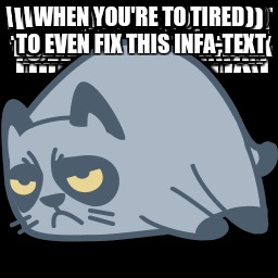 WHEN YOU'RE TO TIRED TO EVEN FIX THIS INFA-TEXT | image tagged in cat | made w/ Imgflip meme maker