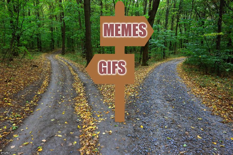 MEMES GIFS | made w/ Imgflip meme maker