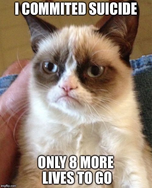 Grumpy Cat | I COMMITED SUICIDE; ONLY 8 MORE LIVES TO GO | image tagged in memes,grumpy cat | made w/ Imgflip meme maker